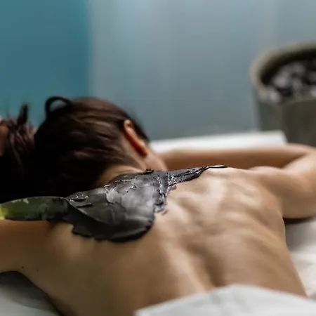 호텔 Terme Milano 아바노테르메